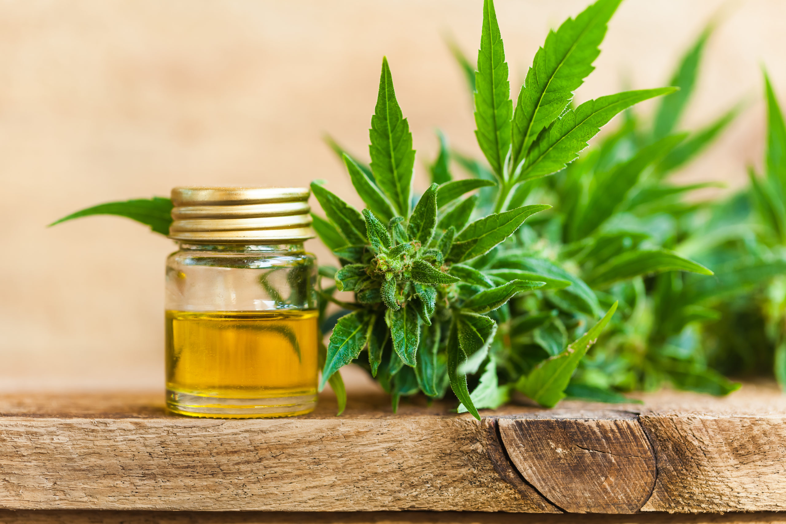 What Are The Various Significances Of Using Cannabinoid Oil?