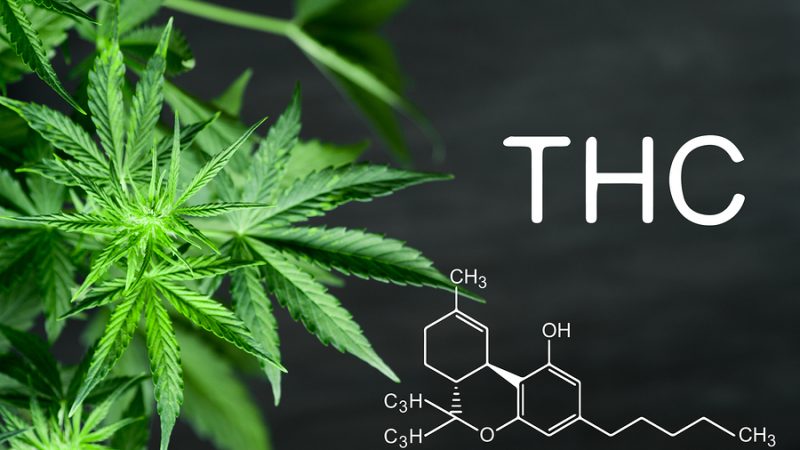 You can choose the best CBD Oil online.