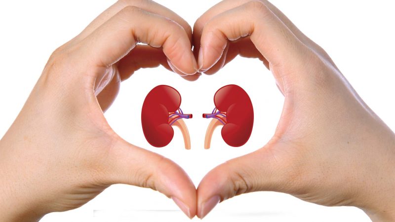 How To Take Care Of Our Kidneys